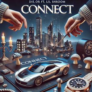 connect (feat. lil shroom) (Explicit)