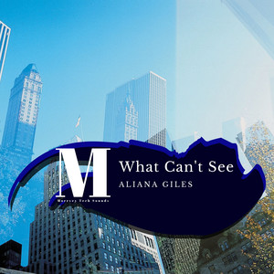 What Can't See (Original Mix)