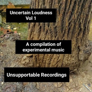 Uncertain Loudness, Vol. 1 A compilation of Experimental Music