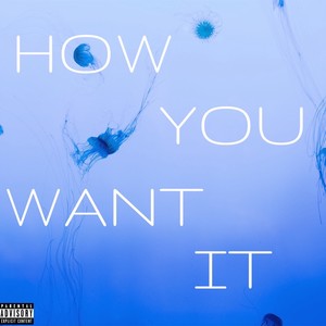 How You Want It (Explicit)