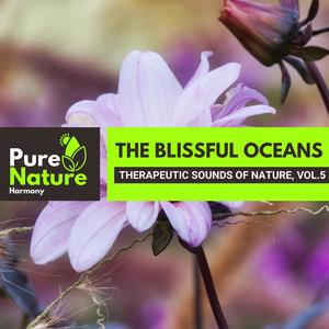 The Blissful Oceans - Therapeutic Sounds of Nature, Vol.5