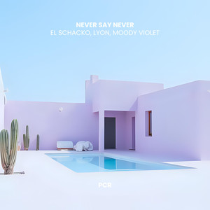 Never Say Never