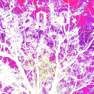 solo (feat. ONTHEBASS)