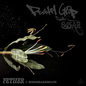 Pistil Grip (feat. 645AR) (Explicit)