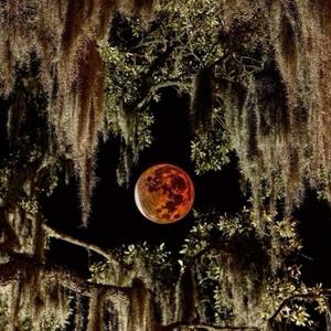 And my skin scorched the earth (Explicit)