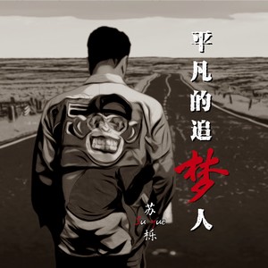 平凡的追梦人 (DJ阿鹏版)