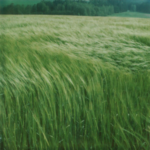 Shallegra / Steamboat Around the Bend