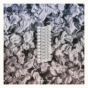 Virtual Rasta (Remix)