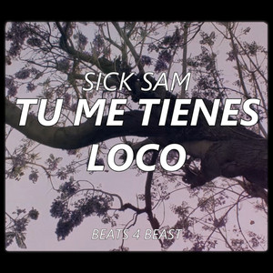 Tu Me Tienes Loco