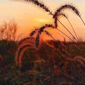 我害怕 (Explicit)