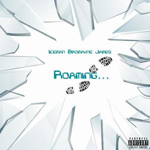 ROAMING... (Explicit)