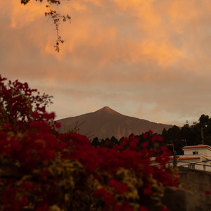 La Laguna