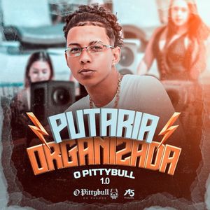 Putaria Organizada 1.0 (Explicit)