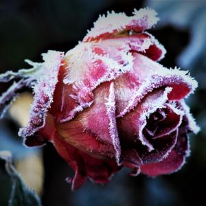 Love Your Pain (Explicit)