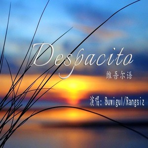 Despacito（维吾尔语）