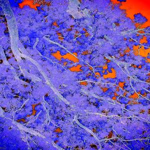 All I Know (Explicit)