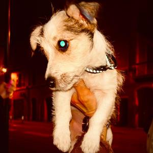 ON MY WAY (Explicit)