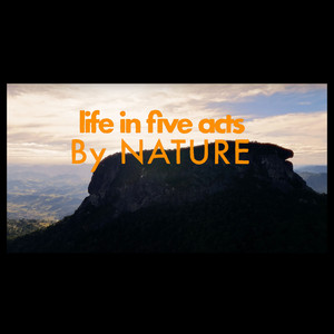 Amor Cósmico (Live)