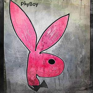 PlayBoy (feat. DankHomieN8, Twelve G & DH Skooby) [Explicit]