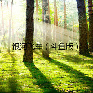 银河飞车 (斗鱼版)