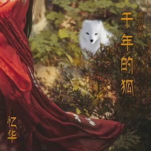 千年的狐