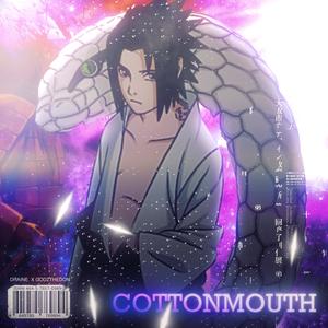 COTTONMOUTH (feat. GODZtheDon) (Explicit)