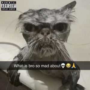 What's Real What's Fake Diss (Explicit)