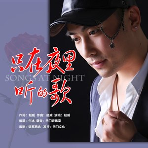 只在夜里听的歌
