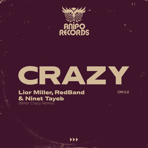 Crazy (Remix)