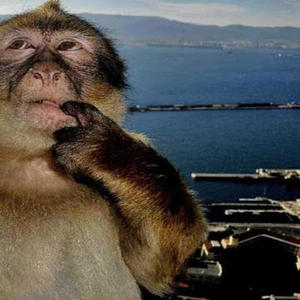 Wr4p 1t up (Explicit)