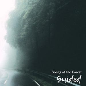 Songs of the Forest (Explicit)