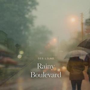 Rainy Boulevard