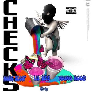 Checks (feat. Lil Bee & Young Hood73) (Explicit)