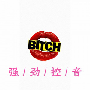 国际强劲控音 (DJ版)