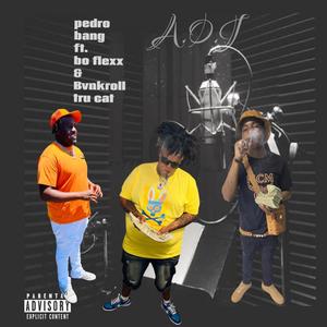 AOJ (feat. Pedro bang & Bvnkroll trucat) [Explicit]