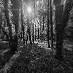 Death Instinct (Enter Face Remix)