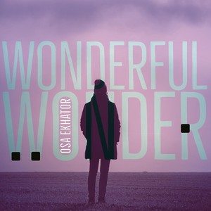 Wonderful Wonder