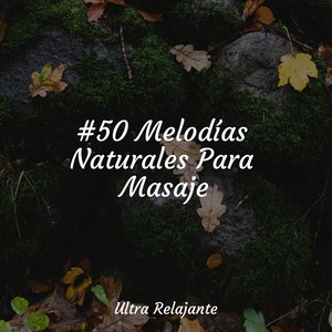 Sueños De Archipiélago