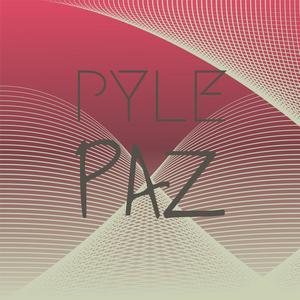 Pyle Paz