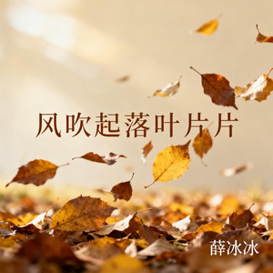 风吹起落叶片片