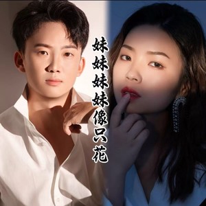 妹妹妹妹像只花双人版 (伴奏)