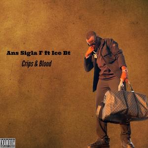 Crips & Blood (feat. Ice Bt) (Explicit)
