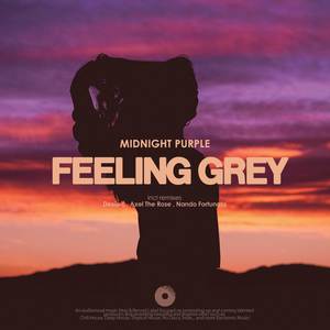 Feeling Grey (Axel The Rose Remix)