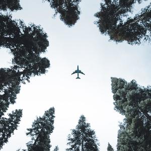 Plane (feat. Krev)