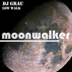Low Walk (Original Mix)