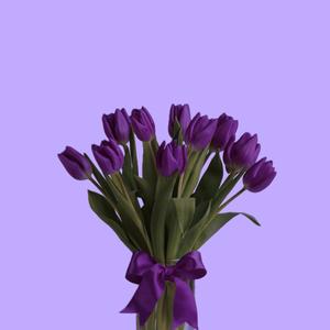 Purple Tulips (feat. Johnny Jay)