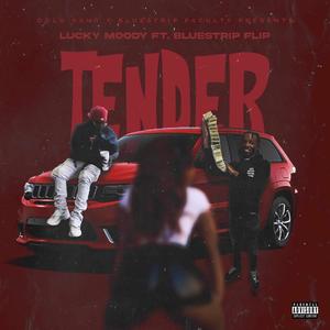 Tender (feat. BlueStripFlip) [Explicit]