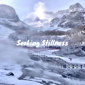 Seeking Stillness