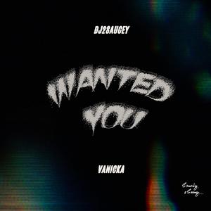 Wanted You (feat. Vanicka)