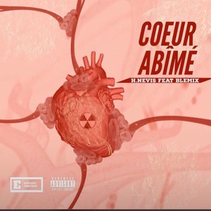 Cœur abîmé (feat. Blemix)